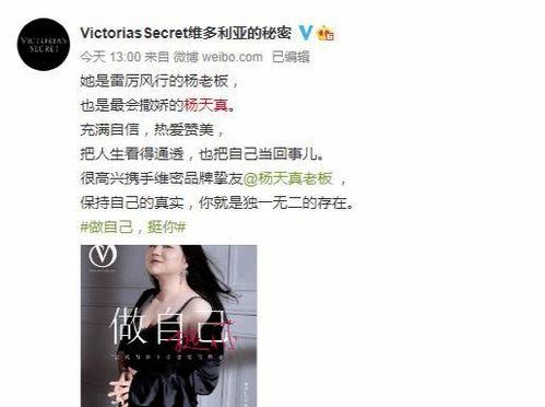 明星拿的y8l是什么牌子,揭秘时尚潮流新宠品牌之谜